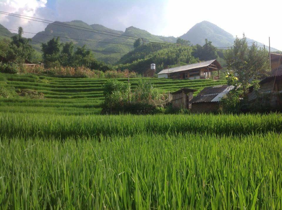 Luckydaisy Buffalo House Sapa Dış mekan fotoğraf