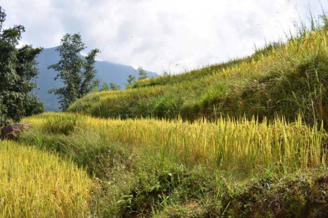 Luckydaisy Buffalo House Sapa Dış mekan fotoğraf